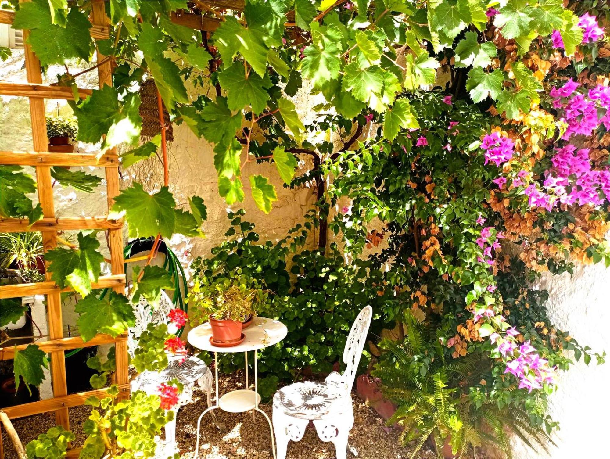 Holiday home Casa Shyshka Country *