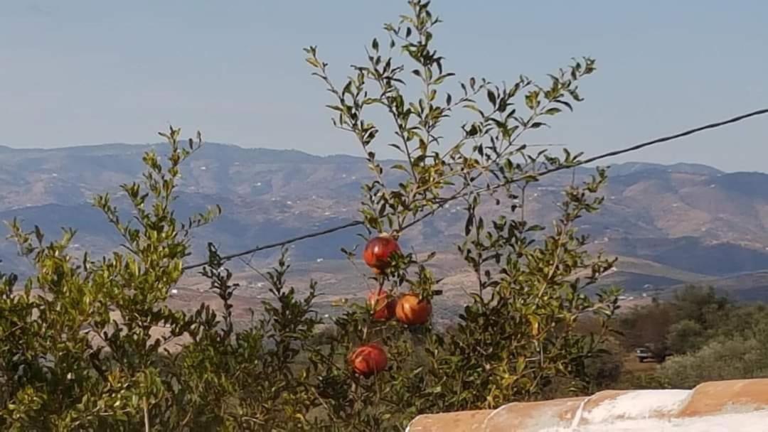 Holiday home Casa Shyshka Country Periana
