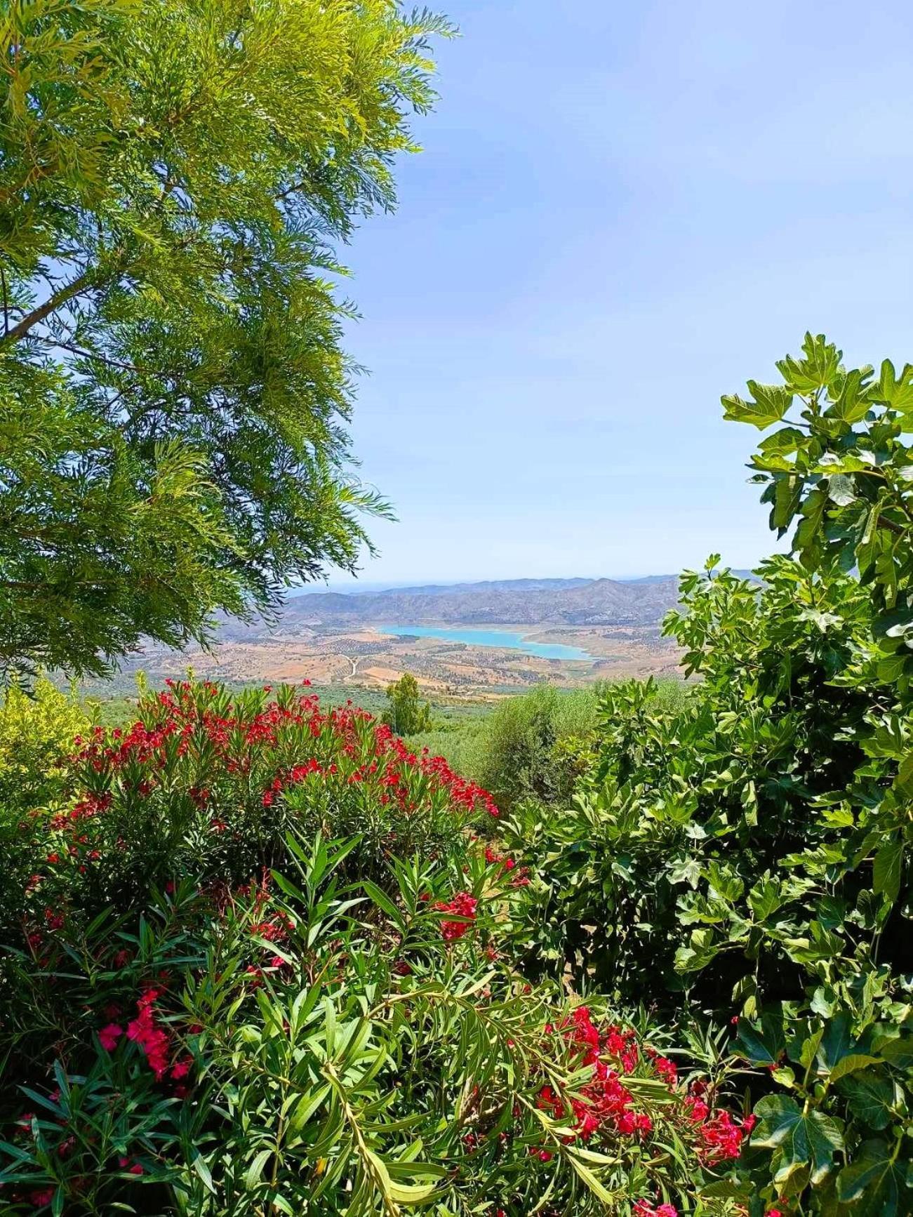 Casa Shyshka Country Holiday home Periana